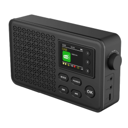 DENVER DAB-57 RADIO DAB+/FM BLUETHOOT 40 MEMEORIE DSP A COLORI DA 1,77"